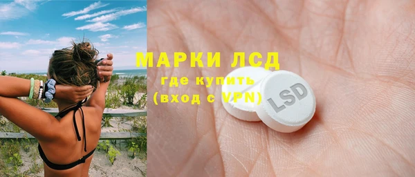 шишки Медвежьегорск