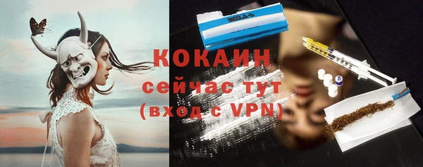 шишки Медвежьегорск