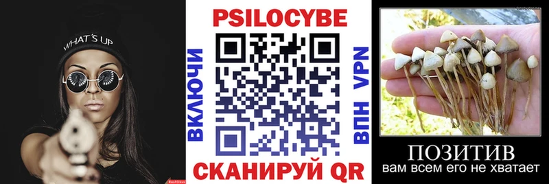 Псилоцибиновые грибы прущие грибы  Купить закладки  Надым 